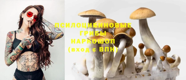 ешки Медногорск