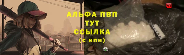 альфа пвп Медвежьегорск