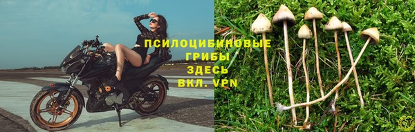 скорость Майский