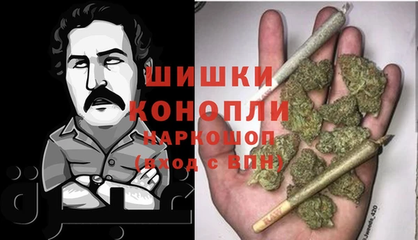 ГАЛЛЮЦИНОГЕННЫЕ ГРИБЫ Магадан