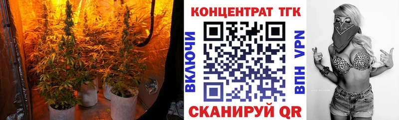 omg ONION  Полярный  Дистиллят ТГК вейп  где можно купить  